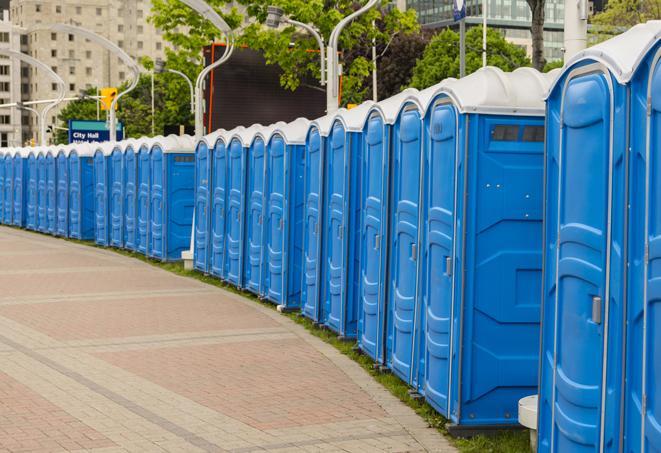Seasonal porta potty units set up at a Georgetown, South Carolina venue